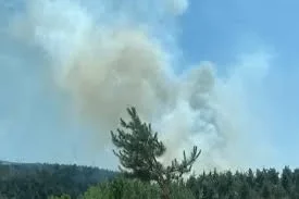 Üç ilde orman yangınlarına müdahale sürüyor